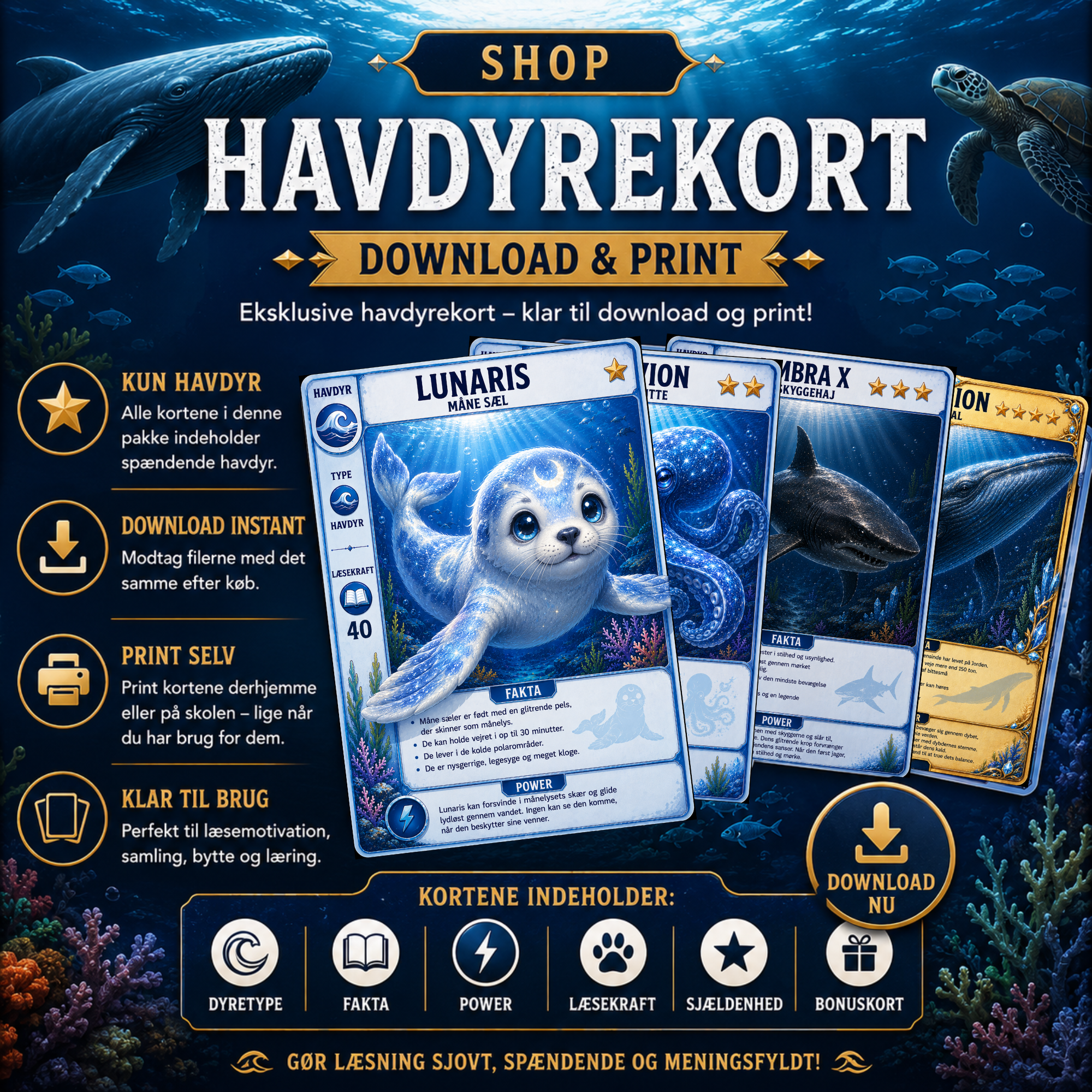 Dyrekort - Havdyr